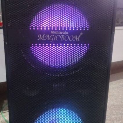 Maharaja Magic Boom Speaker Repair Near Me – Fast Home Service & Expert Technicians